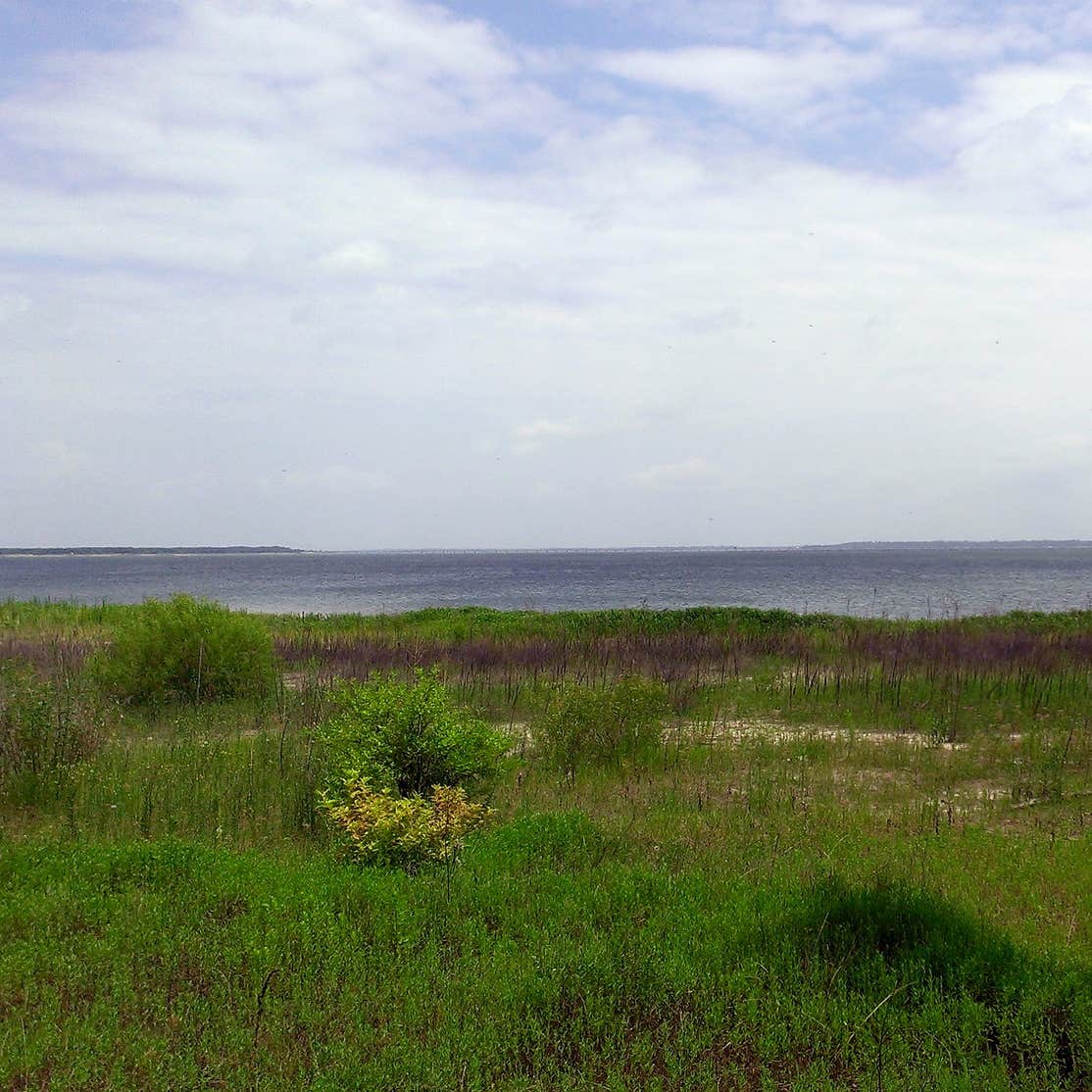 Lake Tawakoni State Park Camping | The Dyrt