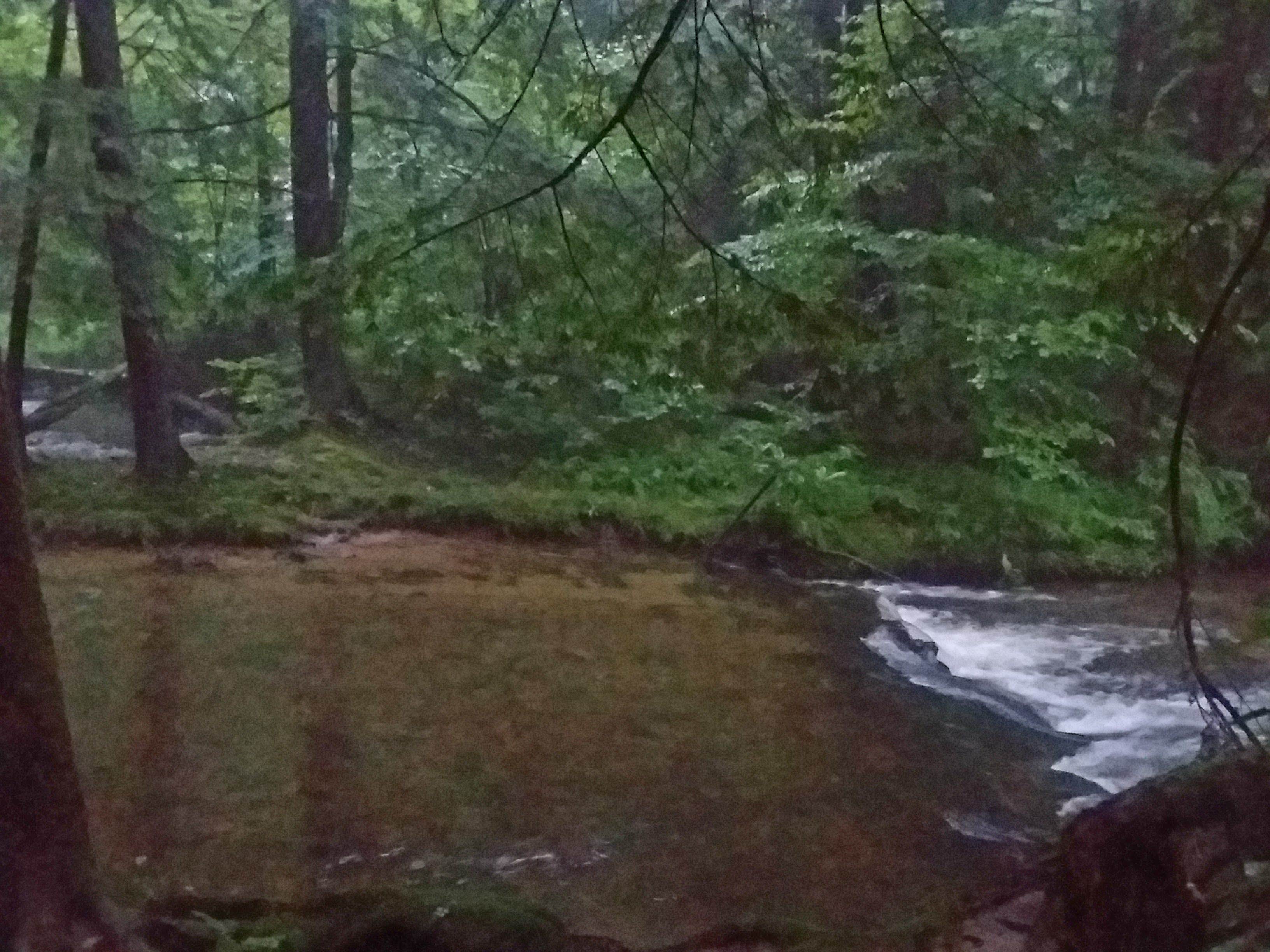 Camper submitted image from Minister Creek Campground - 4