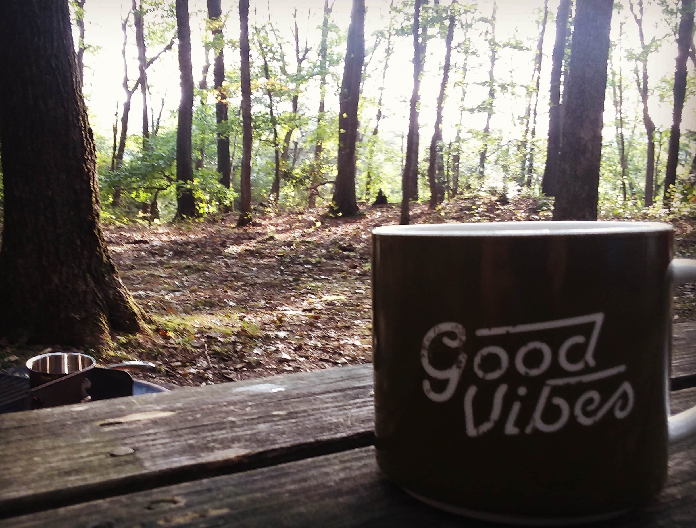 Camper-submitted photo at Coopers Rock State Forest in West Virginia