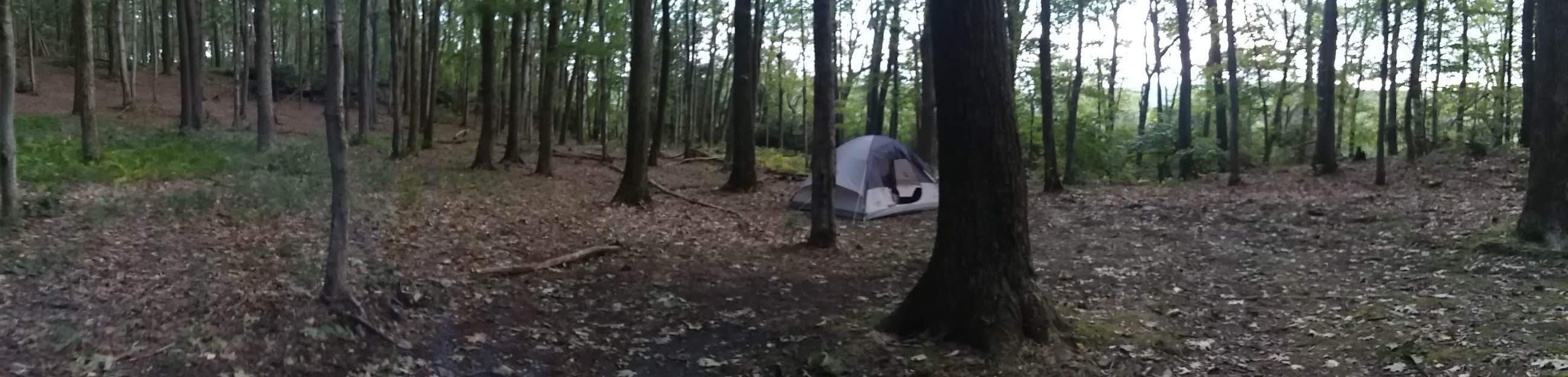 Danielle S.'s photo at Coopers Rock State Forest near Greensboro, PA