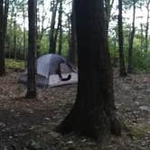 Review photo of Coopers Rock State Forest by Danielle S., April 16, 2019