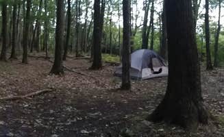 Danielle S.'s photo at Coopers Rock State Forest near Wind Ridge, PA