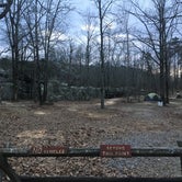 Review photo of Horse Pens 40 by Asher K., April 16, 2019