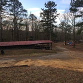 Review photo of Horse Pens 40 by Asher K., April 16, 2019