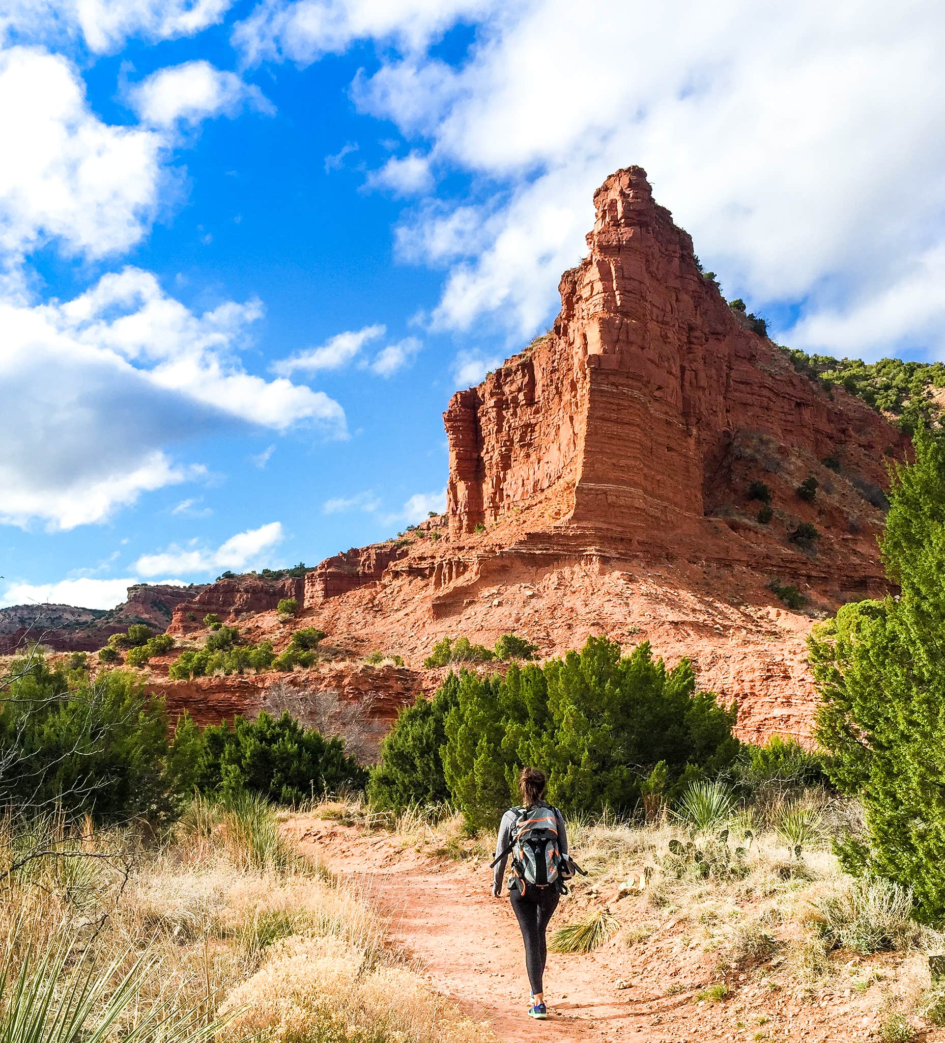 Camper submitted image from North Prong Primitive Campsite Camping Area — Caprock Canyons State Park - 5