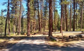 The Dyrt's photo of camping with pets at Grayback near Garden City, ID