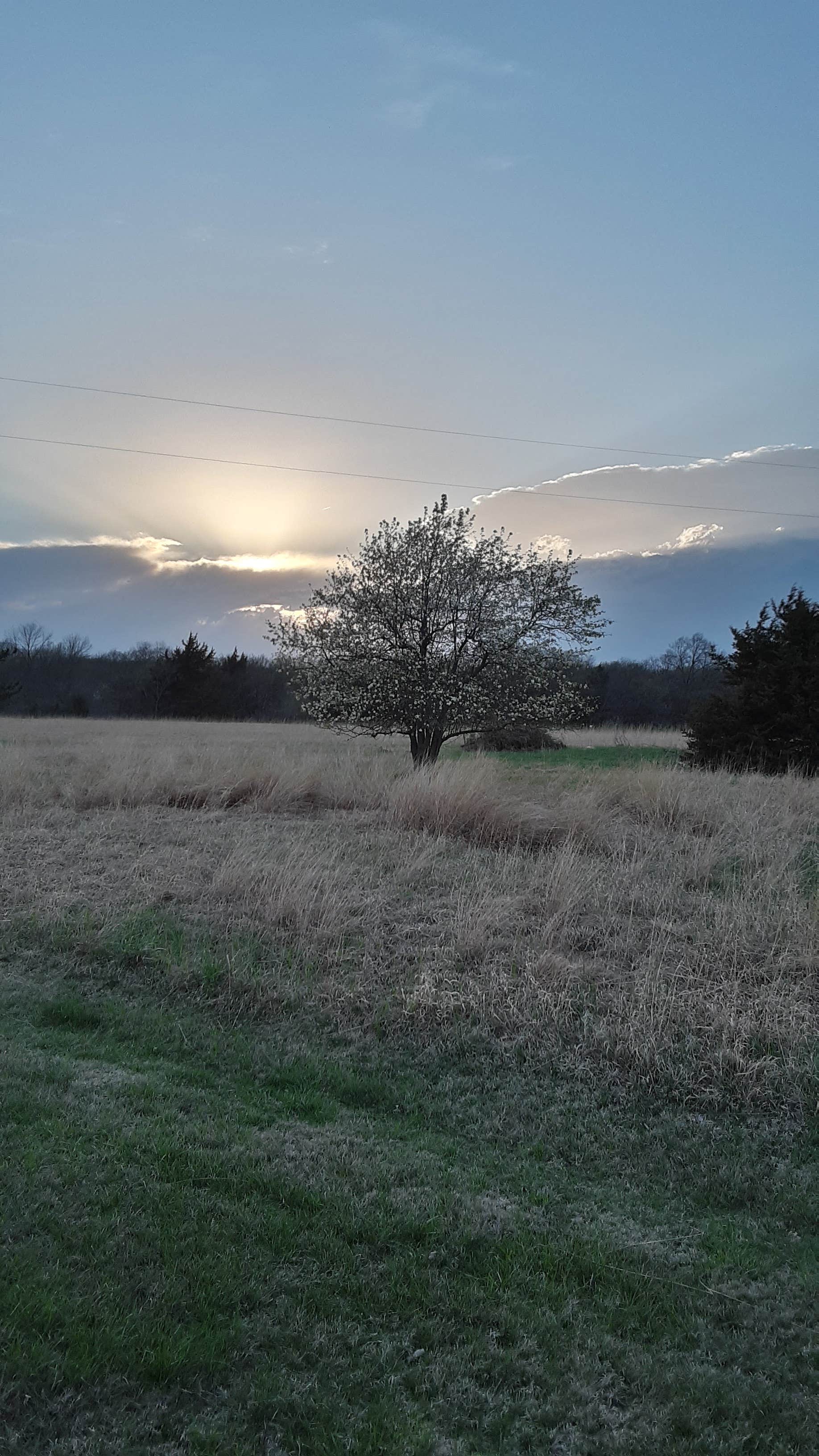 Camper submitted image from North Overlook Park (KS) - 2