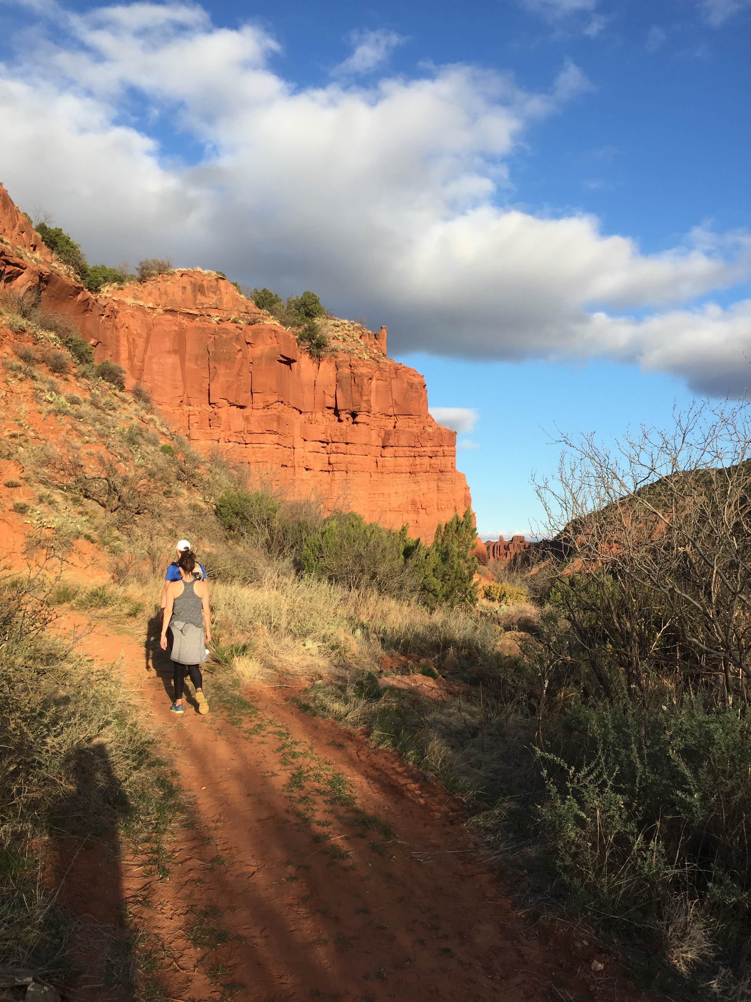 Camper submitted image from North Prong Primitive Campsite Camping Area — Caprock Canyons State Park - 2