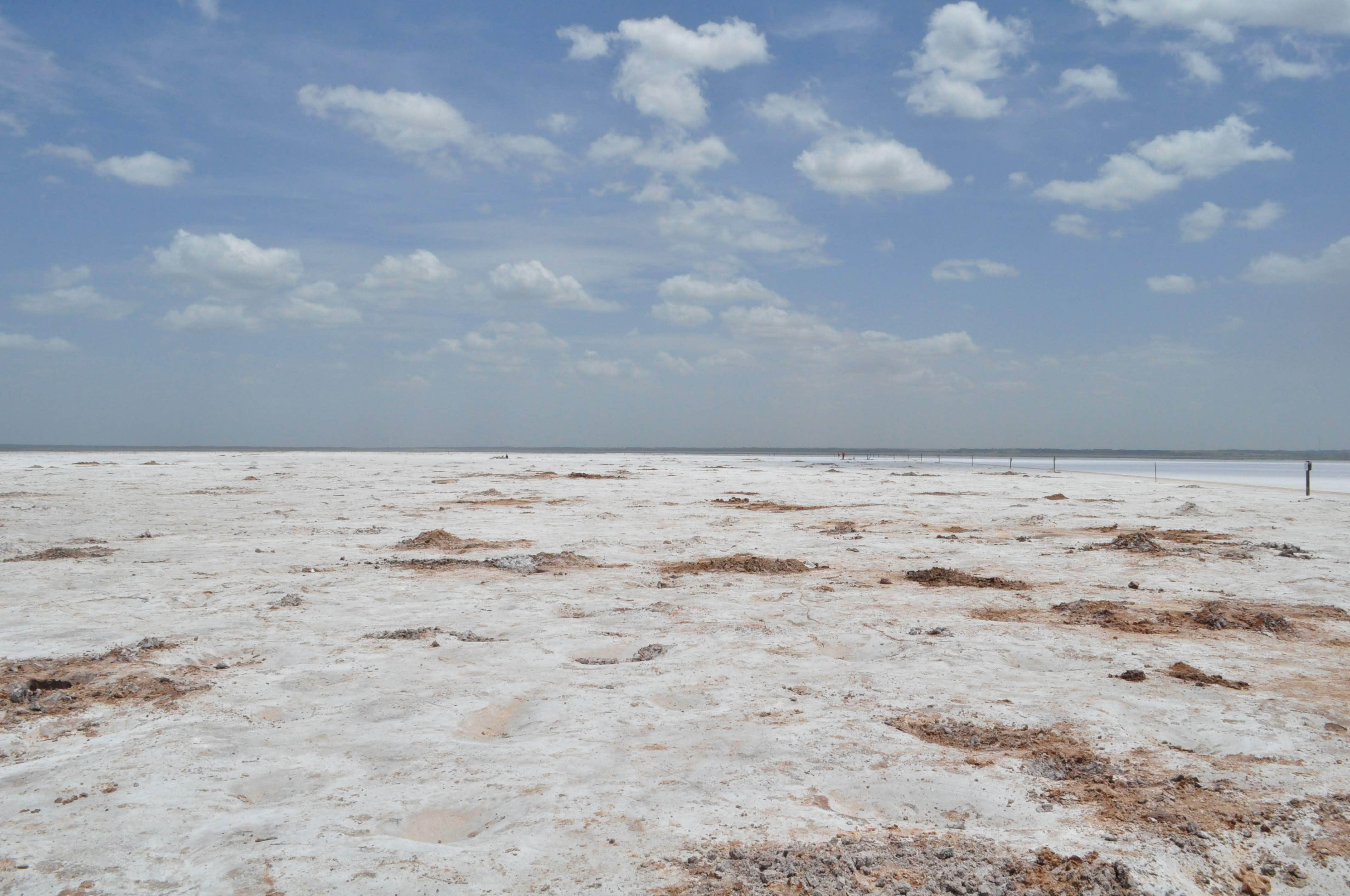 Camper-submitted photo at Salt Plains State Park Campground near Enid, OK