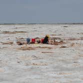 Review photo of Salt Plains State Park Campground by Alyn M., April 16, 2019