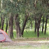 Review photo of Oak Hill Campground - Peace River by Jeanene A., April 16, 2019