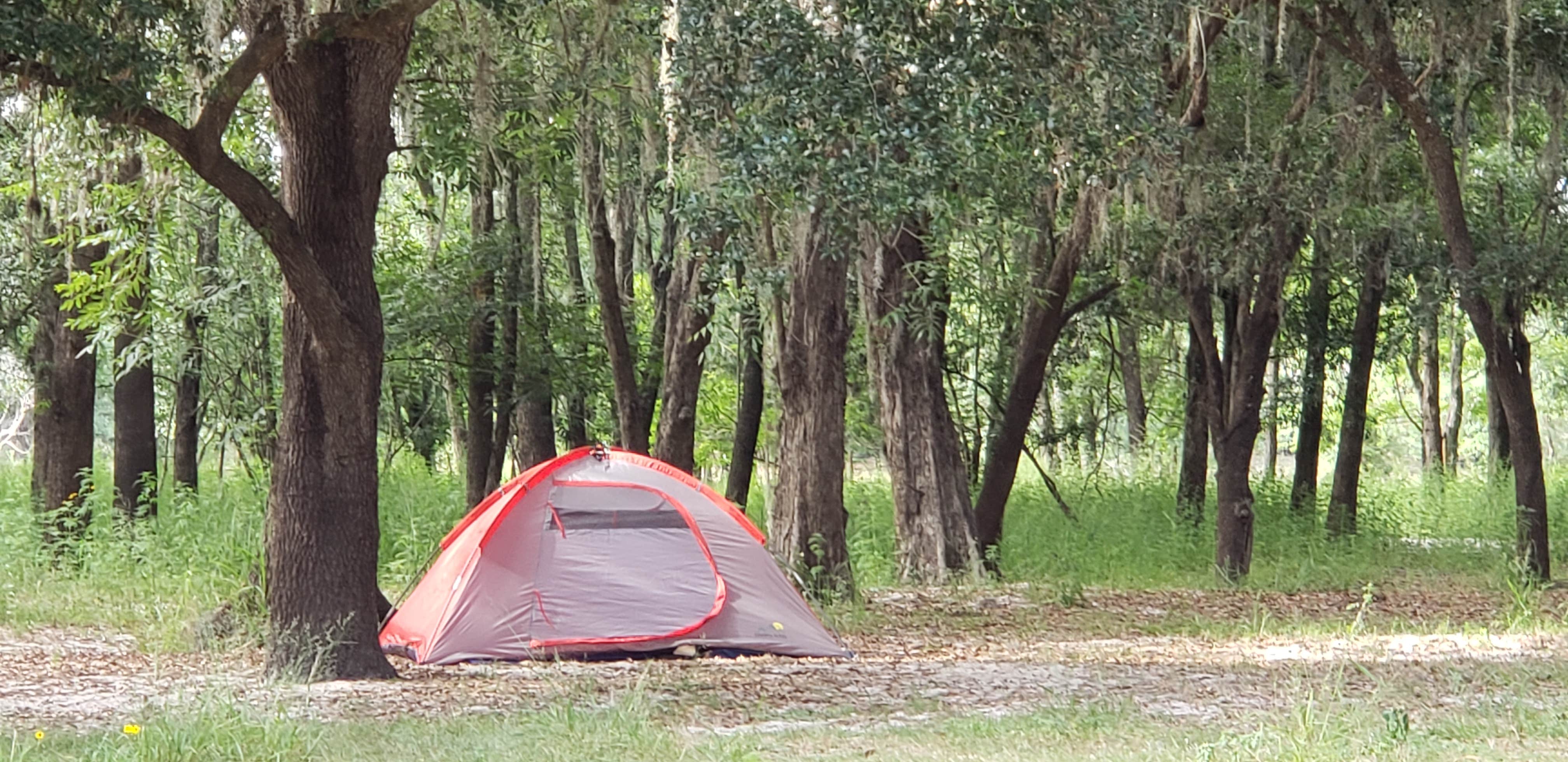 Camper submitted image from Oak Hill Campground - Peace River - 4