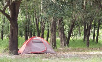 Jeanene A.'s photo of tent camping at Oak Hill Campground - Peace River near Englewood, FL