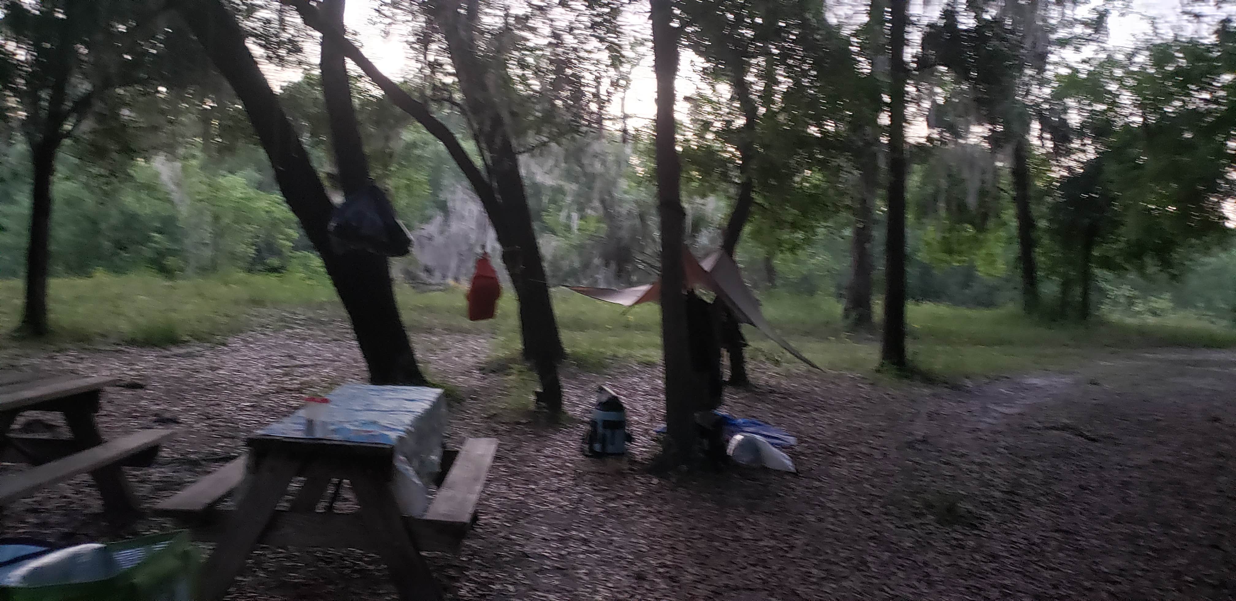 Camper-submitted photo at Oak Hill Campground - Peace River near Arcadia, FL