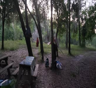 Camper-submitted photo from Oak Hill Campground - Peace River