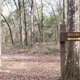 Review photo of Tucker Hill Forestry Primitive Sites by Jeanene A., April 16, 2019