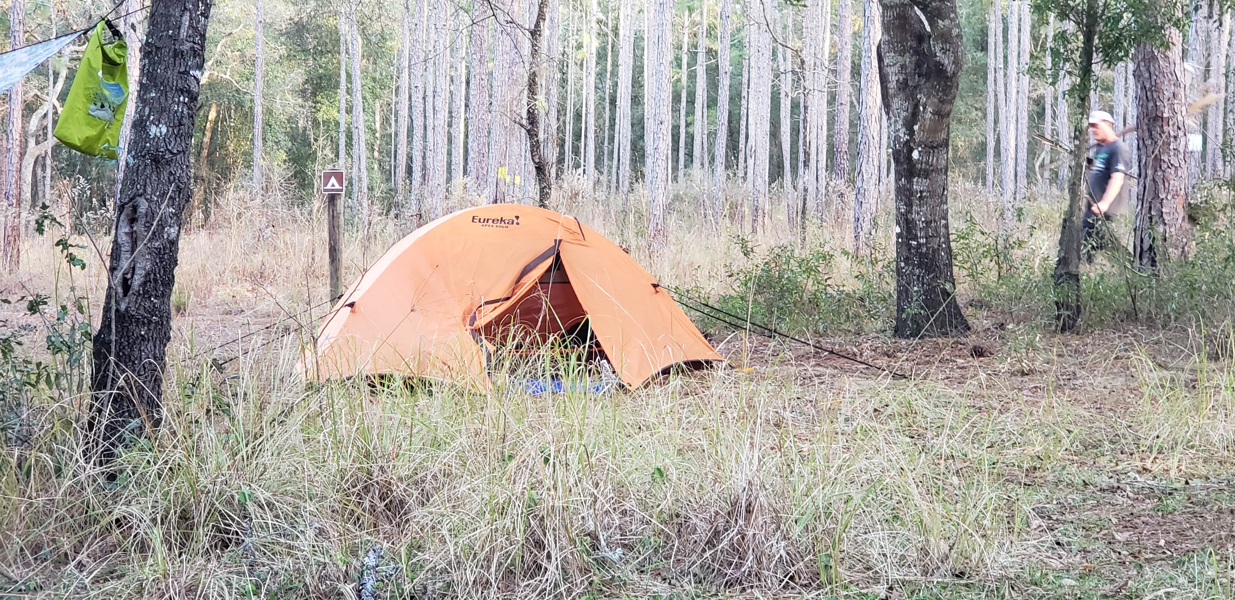 Jeanene A.'s photo of tent camping at Tucker Hill Forestry Primitive Sites near Land O' Lakes, FL