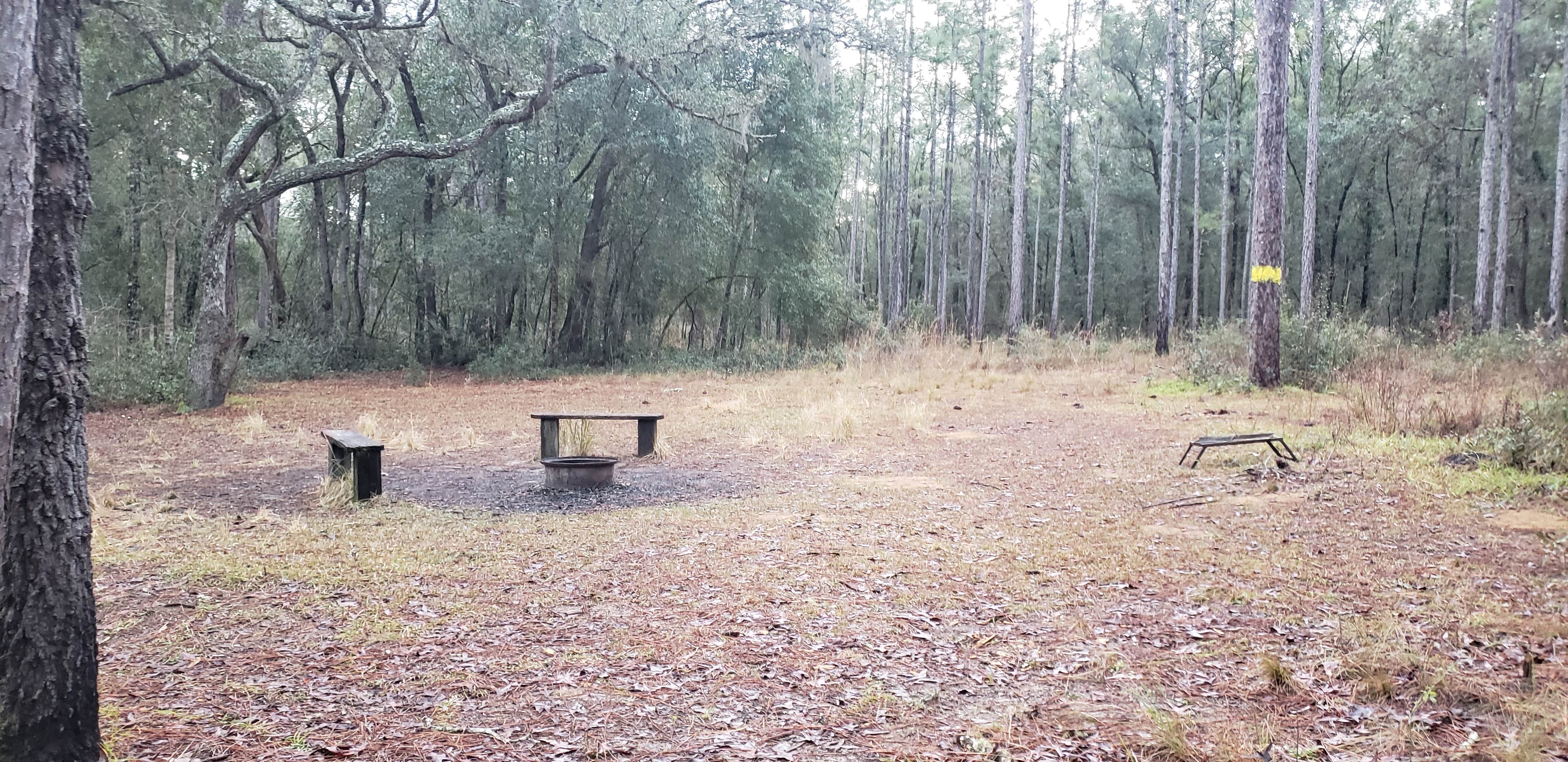 Camper-submitted photo at Tucker Hill Forestry Primitive Sites near Lake Panasoffkee, FL
