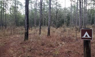 Camping near Colonel Robins Group Area: Tucker Hill Forestry Primitive Sites, Nobleton, Florida