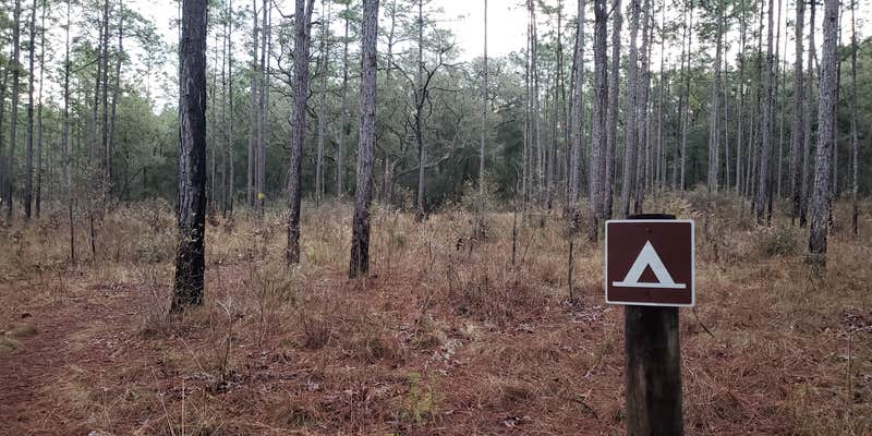 Camper submitted image from Tucker Hill Forestry Primitive Sites