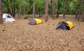 Jeanene A.'s photo of tent camping at Colonel Robins Group Area near Tampa, FL