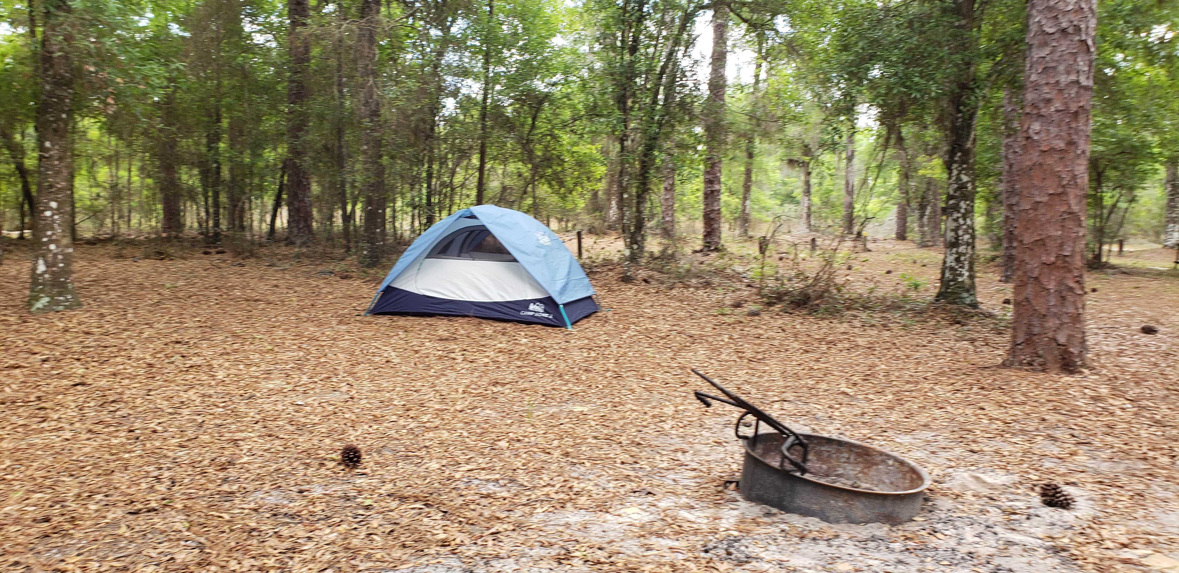 Campsites