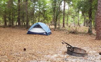 Jeanene A.'s photo of tent camping at Colonel Robins Group Area near Tampa, FL
