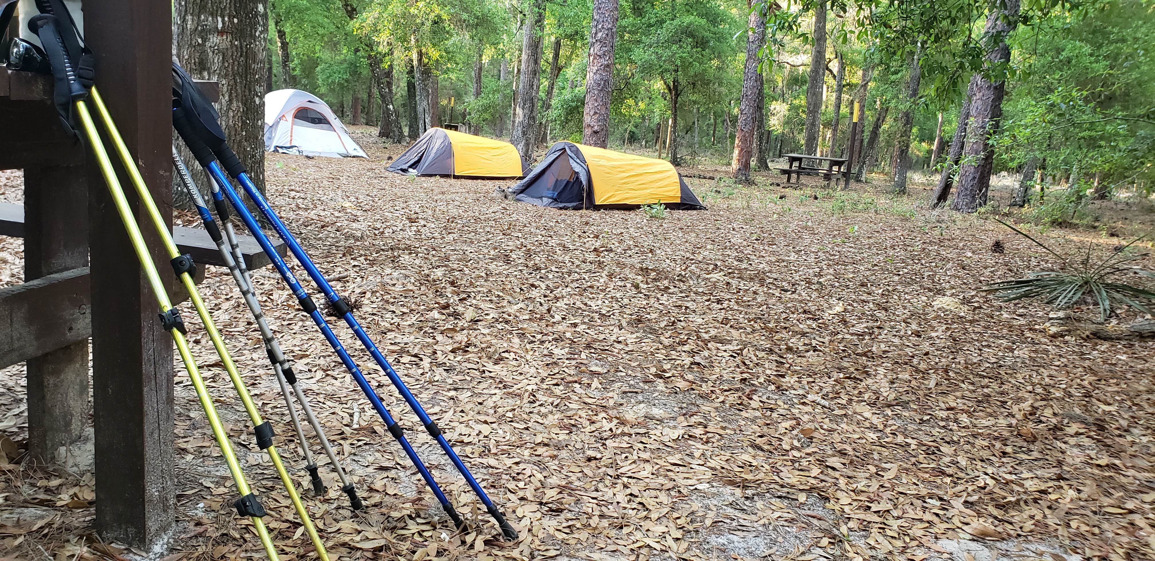 Jeanene A.'s photo of tent camping at Colonel Robins Group Area near Lake Panasoffkee, FL