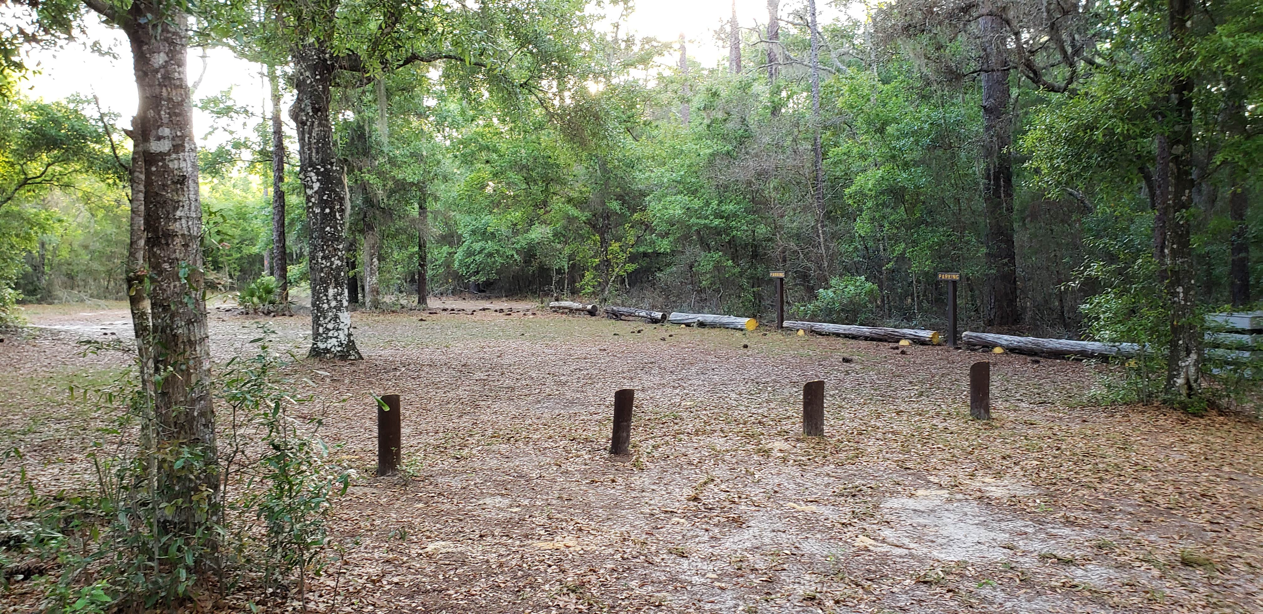 Camper-submitted photo at Colonel Robins Group Area near Lake Panasoffkee, FL
