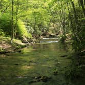 Review photo of Spruce Knob Lake Campground by Mitch W., August 26, 2016