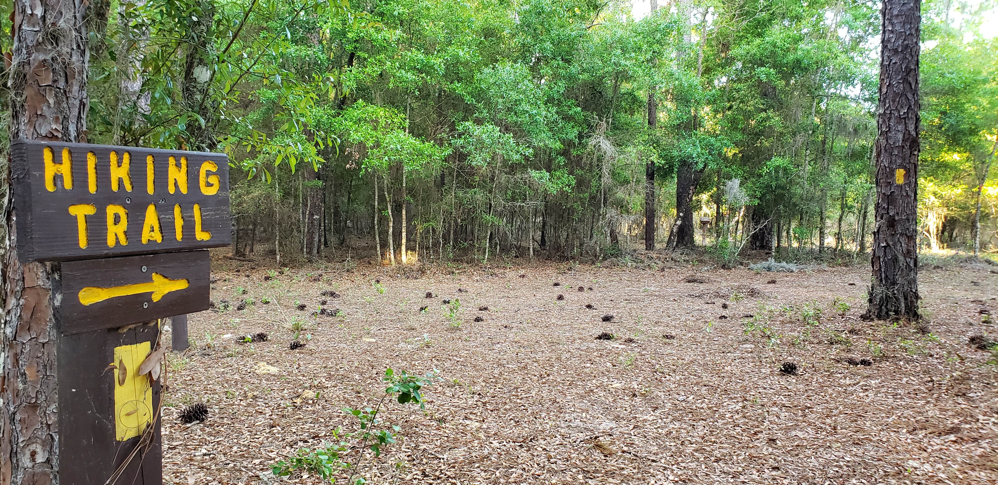 Camper-submitted photo at Colonel Robins Group Area near Lake Panasoffkee, FL