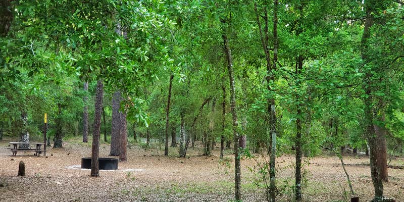 Camper submitted image from Colonel Robins Group Area