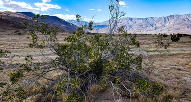 Rockhouse Campground (CLOSED - Private Property)