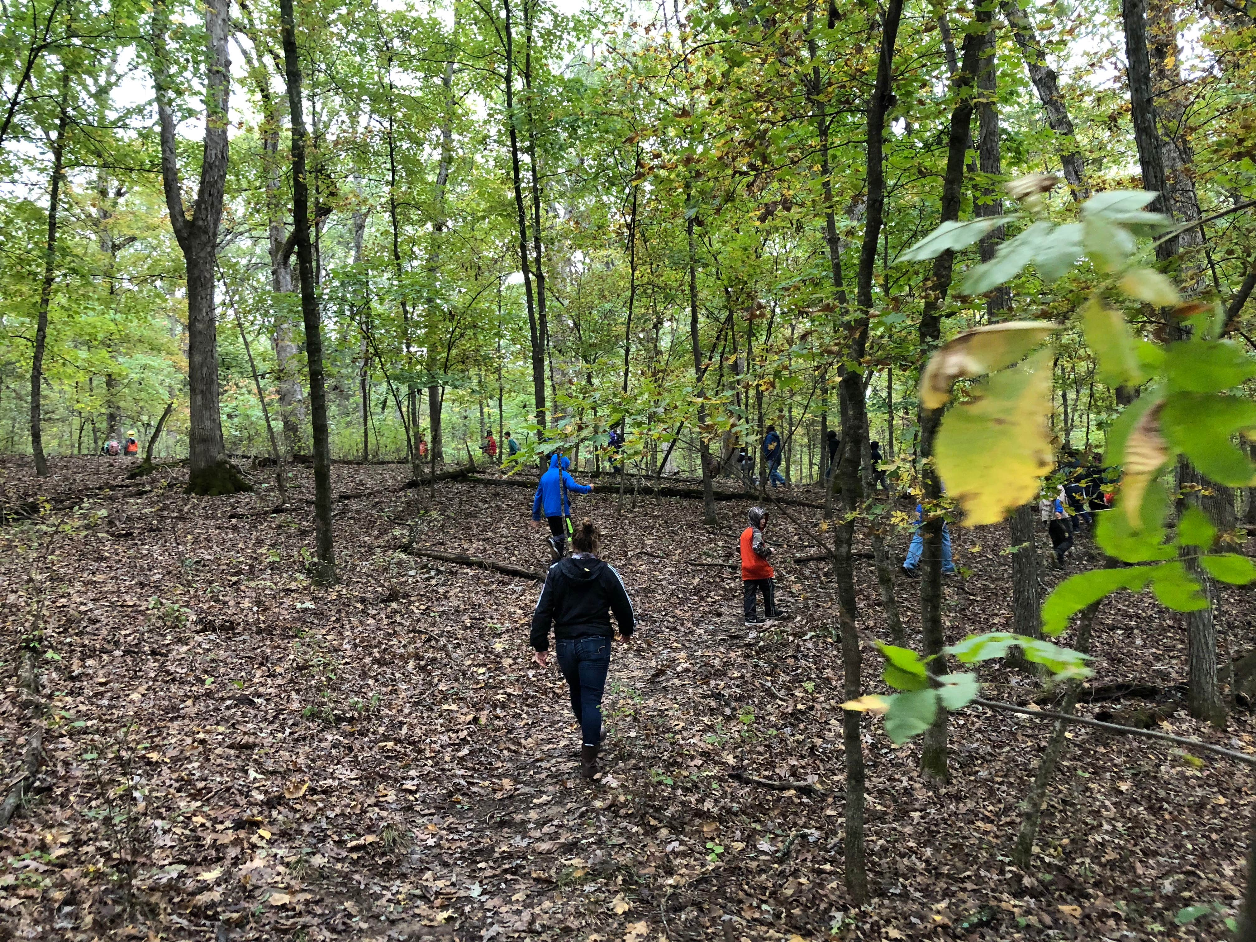 Camper-submitted photo at Pine Ridge Recreation Area near Lohman, MO