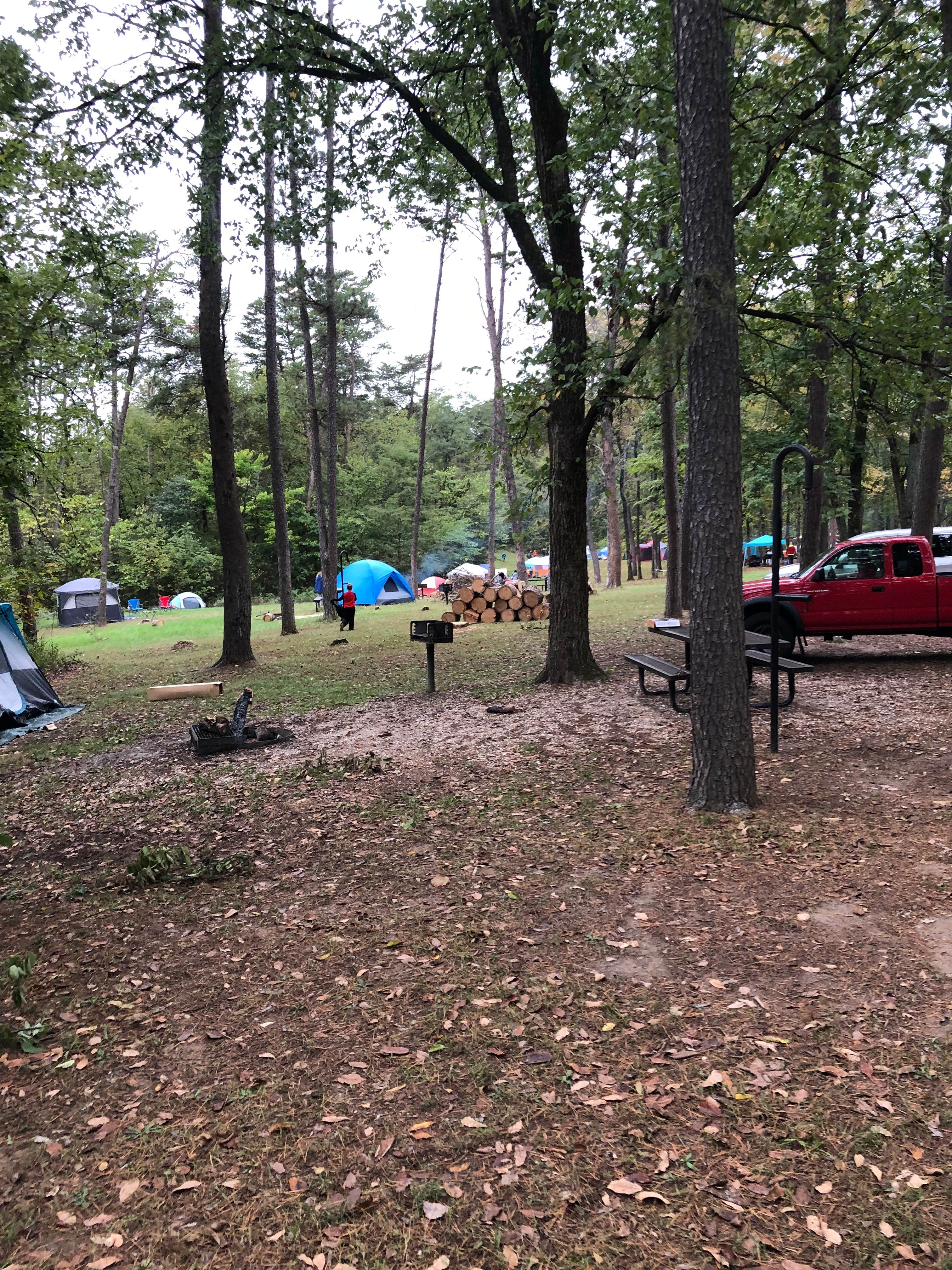 Josh S.'s photo of a dispersed camping area at Pine Ridge Recreation Area near New Franklin, MO
