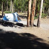 Review photo of Madison Campground — Yellowstone National Park by Eva V., August 26, 2016