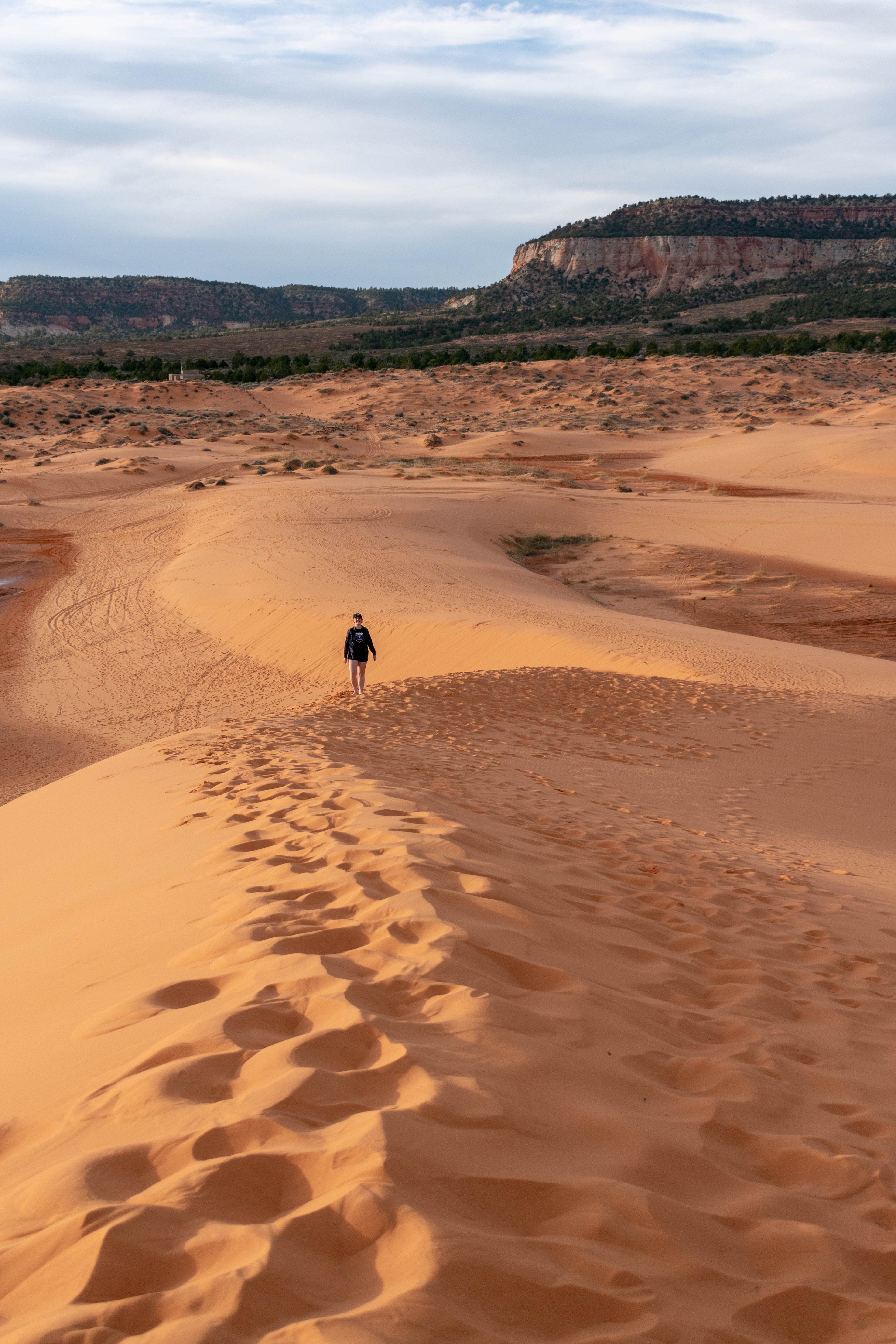 Camper-submitted photo at Coral Pink Sand Dunes State Park Campground near Hildale, UT