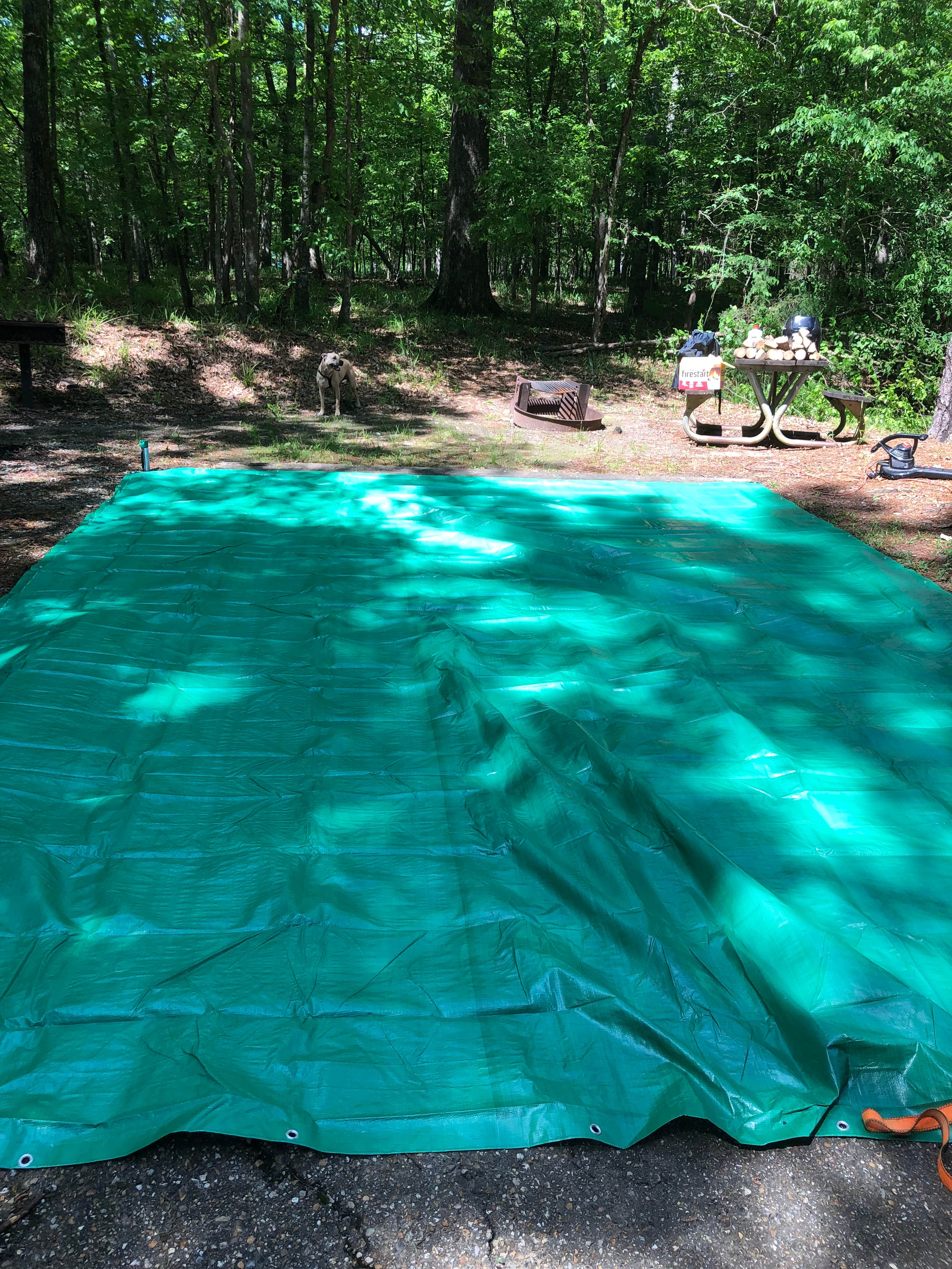 South Campground — Chicot State Park