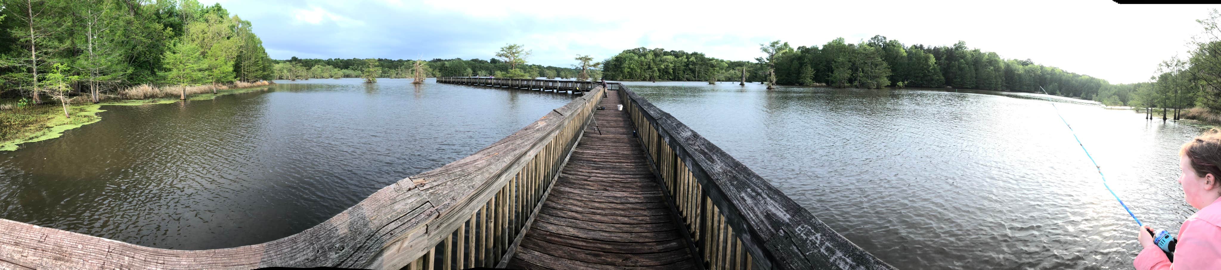 Camper-submitted photo at South Campground — Chicot State Park in Louisiana