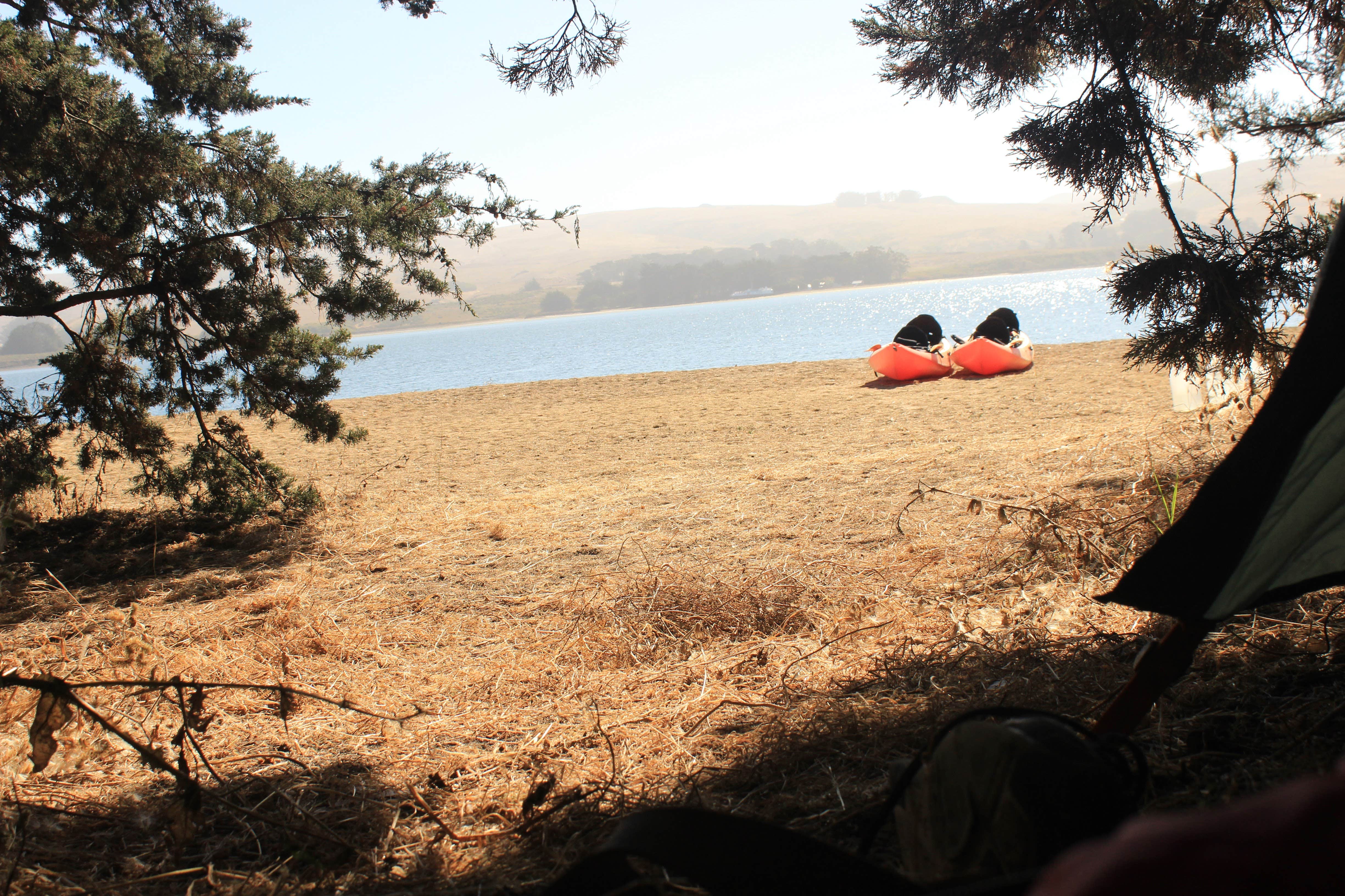 Camper submitted image from Tomales Bay Boat-In Camping — Point Reyes National Seashore - 2