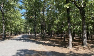 Camping near Woolly Hollow State Park — Wooly Hollow State Park: Sugar Loaf, Higden, Arkansas