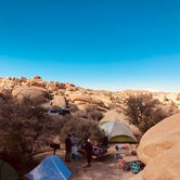 Review photo of Joshua Tree South - BLM Dispersed by Christine N., April 17, 2019
