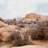 Review photo of Joshua Tree South - BLM Dispersed by Christine N., April 17, 2019
