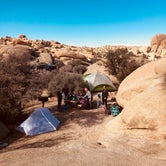 Review photo of Joshua Tree South - BLM Dispersed by Christine N., April 17, 2019