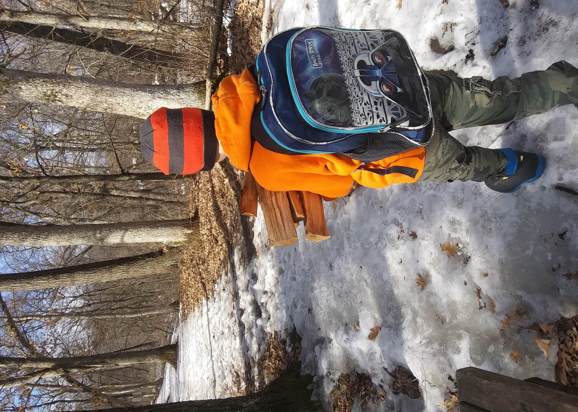Lebanon Hills Regional Park Camping The Dyrt