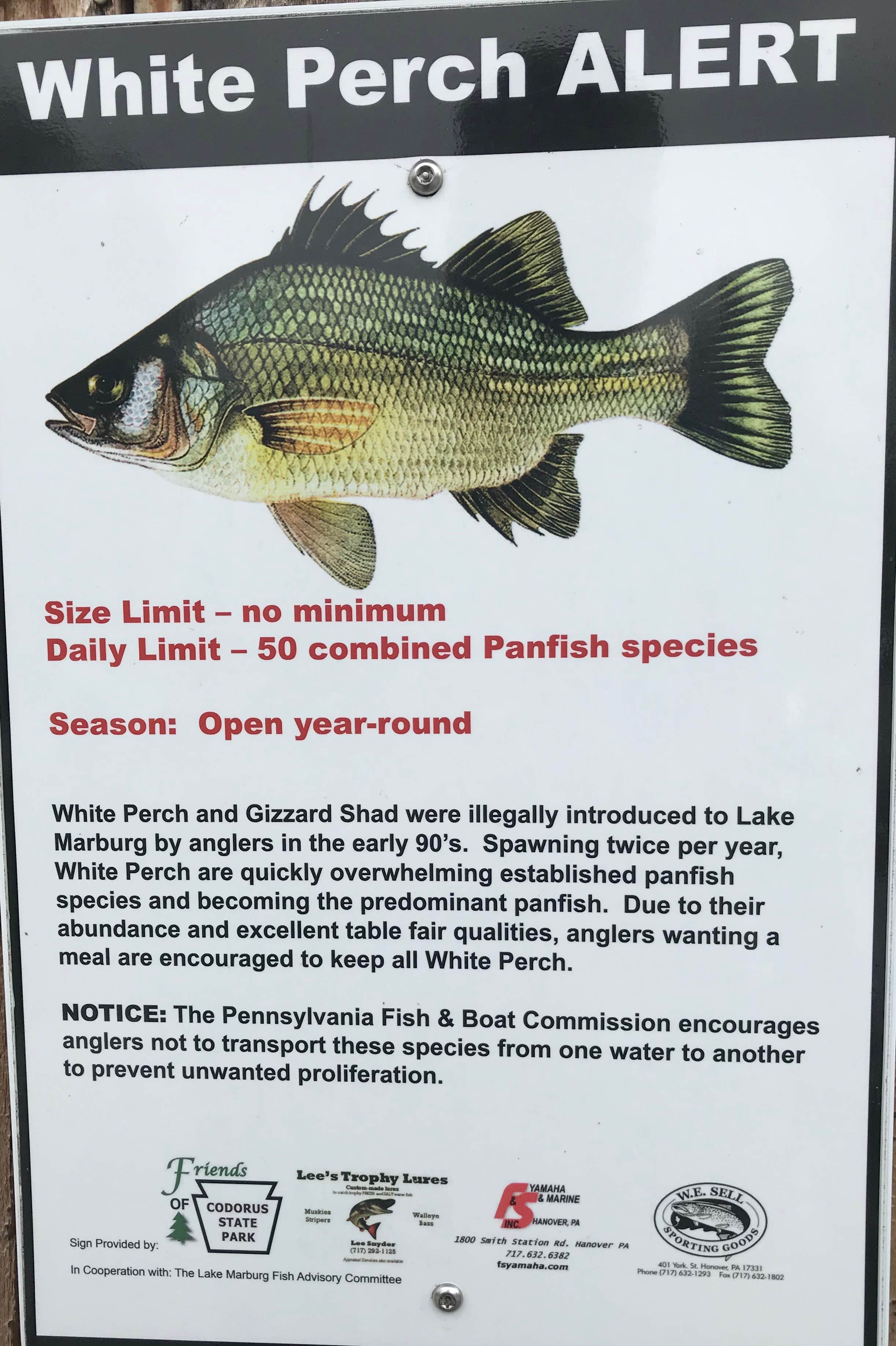 Camper-submitted photo at Codorus State Park Campground near Long Green, MD