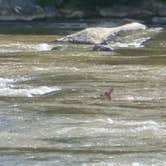 Review photo of Fries New RiverTrail RV Park by Bran P., August 26, 2016