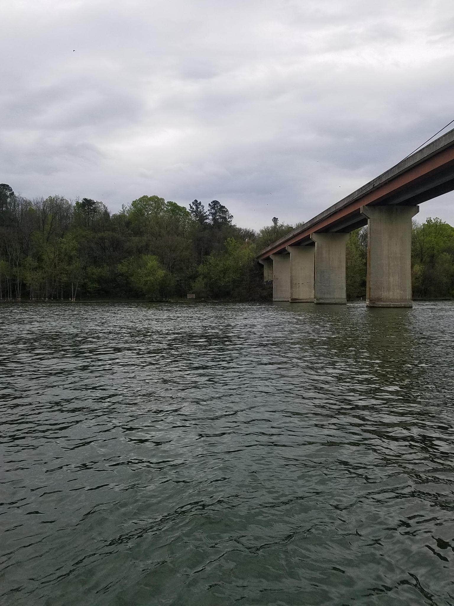 Camper submitted image from Douglas Tailwater Campground — Tennessee Valley Authority (TVA) - 5