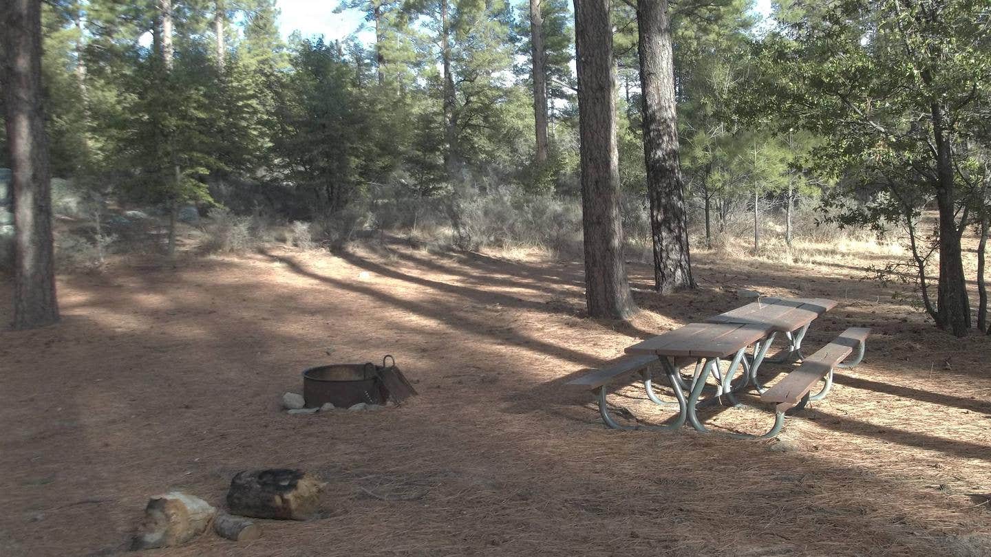 Camper submitted image from Upper Wolf Creek Group - 5
