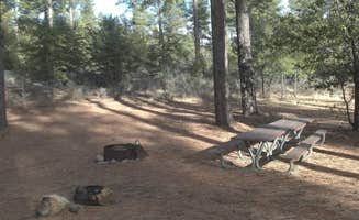 The Dyrt's photo at Upper Wolf Creek Group near Mayer, AZ